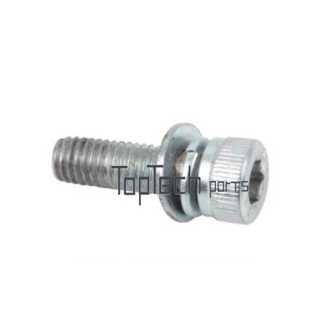 GX35 Intake Manifold Screw